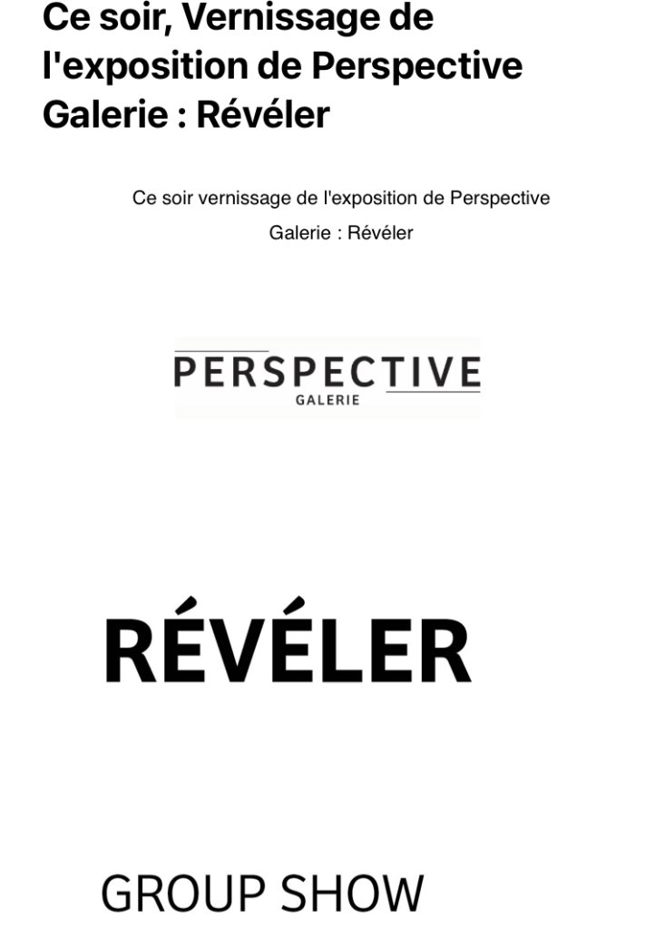 Perspective Galerie Révéler partir soir 07/03/2024.