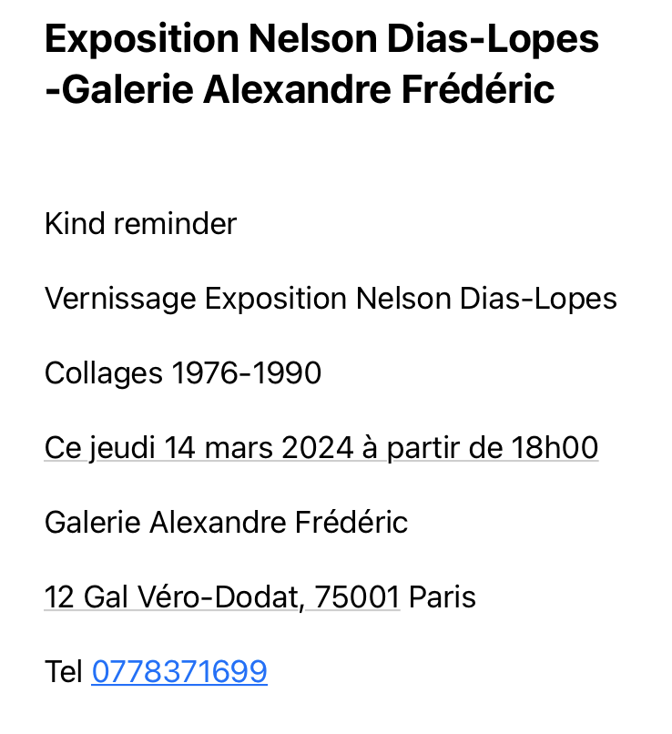 Exposition Nelson Diaz-Lopes galerie Alexandre Frédéric- Mars 2024.