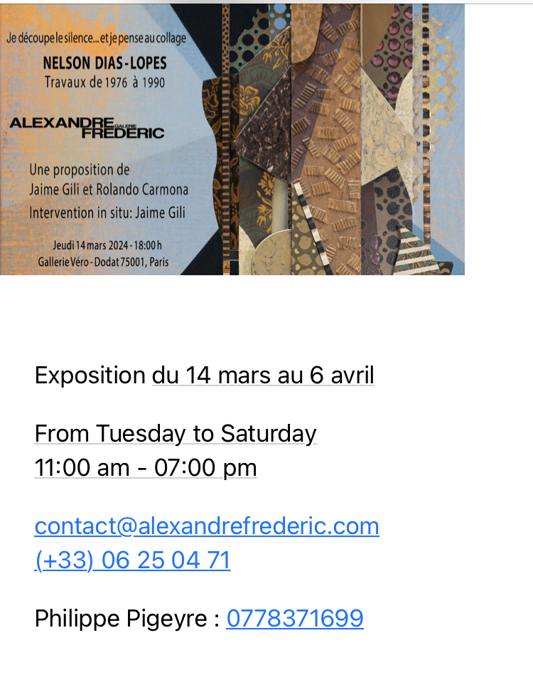Exposition Nelson Diaz-Lopes galerie Alexandre Frédéric- Mars 2024.